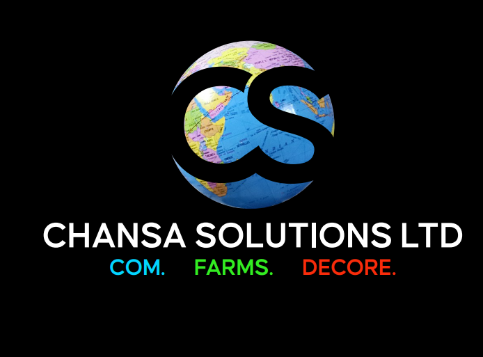 Chansa Solutions Ltd